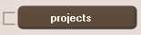 projects